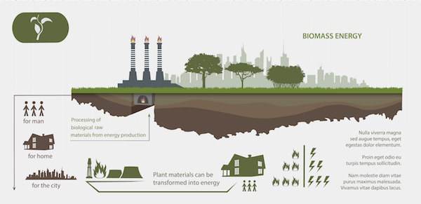 biomass energy - smartheat